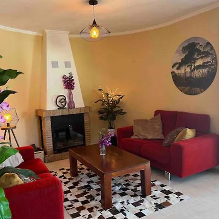 Villa Casa Joli In Oliva With Private Pool And Stunning Views Bagian luar foto